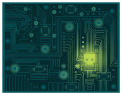 skull-circuit