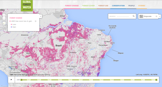 Global Forest Watch