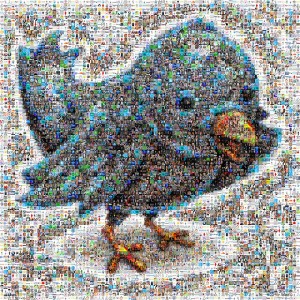 twitter montage mosaic social media tweets