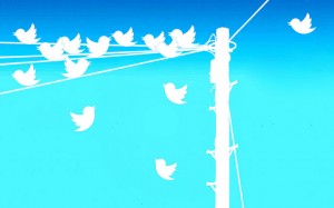 twitter tweet birds phone pole line