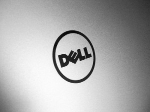 dell logo white