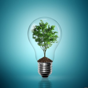 renewable energy green tech clean tech clean energy eco friendly tree light bulb