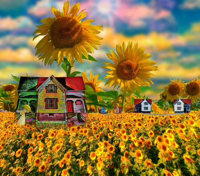 smart home automation sunflower field green living eco friendly