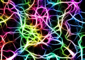 Neurons