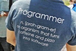 Programmer