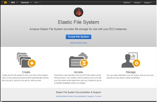 amazon efs