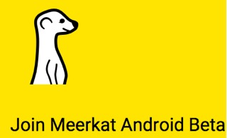 meerkat