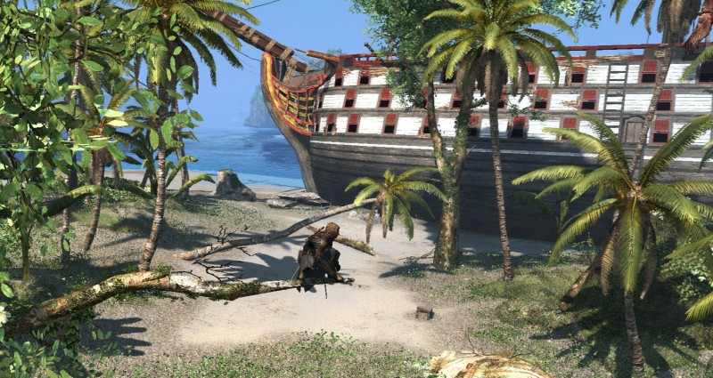 Ah yes, the iconic tree of...what's this island called again?