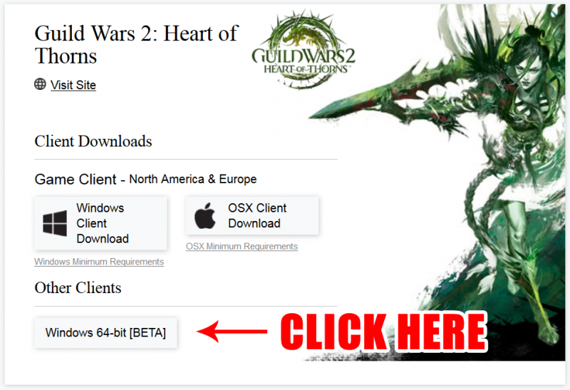 Guild Wars 2 Free Download For Mac