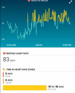 Ivonne Trinidad's Fitbit data