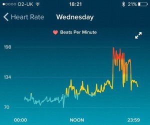 Sarah-Jayne McIntosh Fitbit data