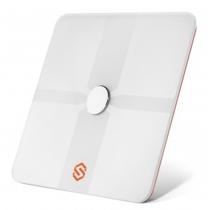 STYR Labs wireless scale