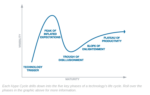 Gartner Inc.'s "hype cycle"