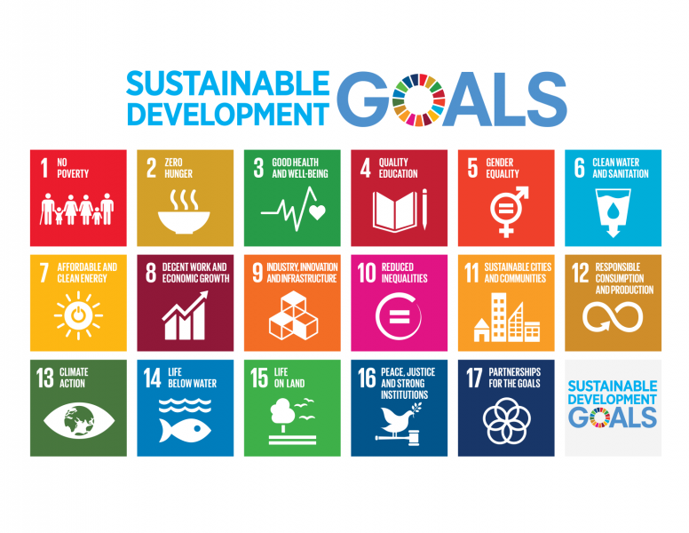 United Nations Sustainable Development Goals