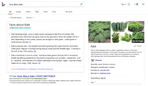 microsoft-bing